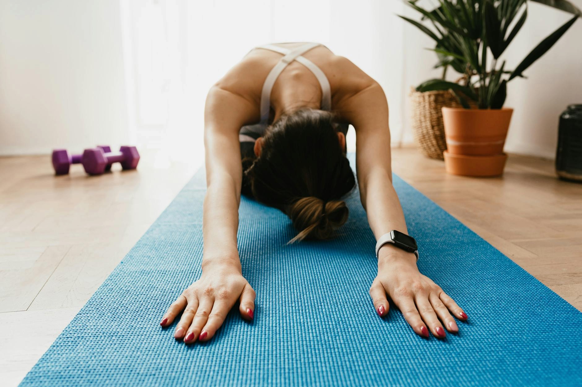beginner mobility exercises session